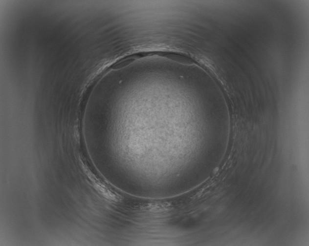 X0000054400345200508011328