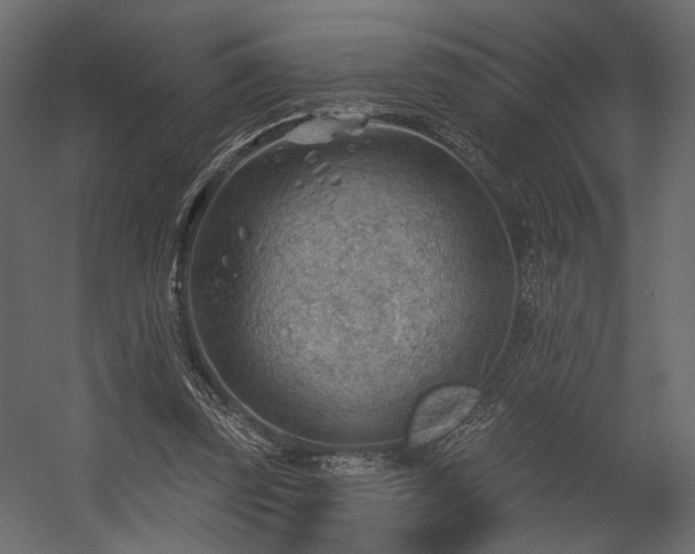 X0000054400347200508011328