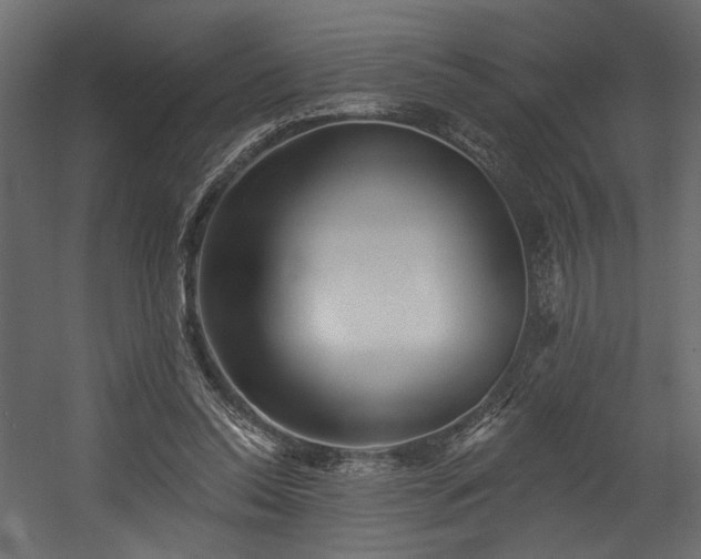 X0000054400350200508011328