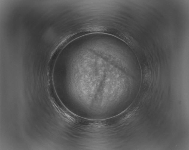 X0000054400351200508011328