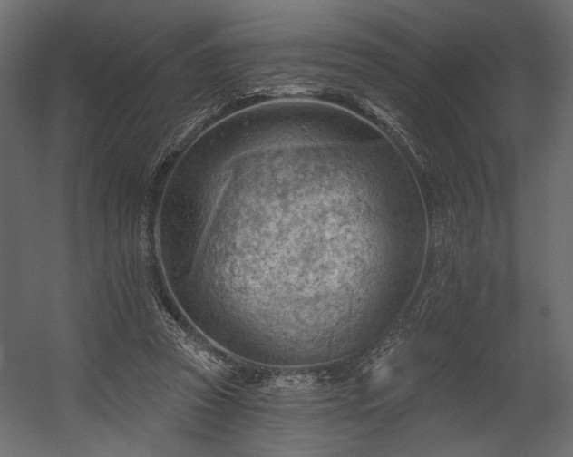 X0000054400353200508011328