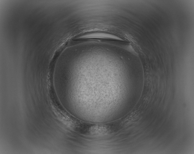 X0000054400354200508011328