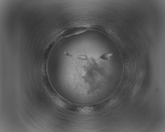 X0000054400359200508011328