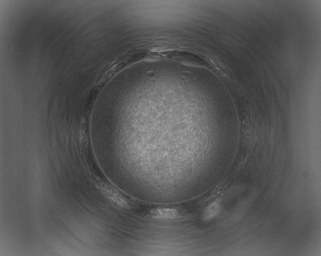 X0000054400361200508011328