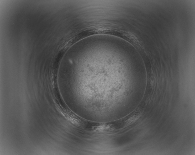 X0000054400366200508011329