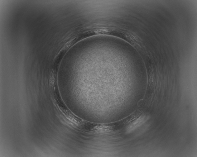 X0000054400367200508011329