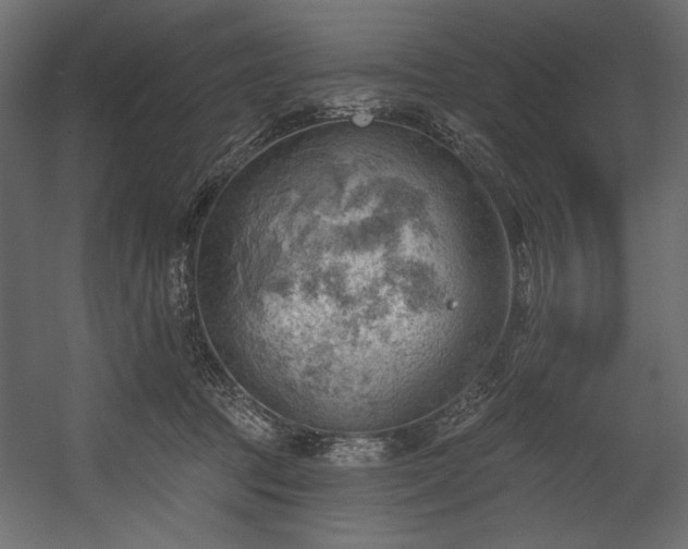 X0000054400369200508011329