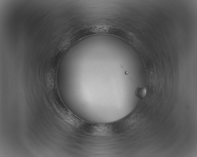 X0000054400370200508011329