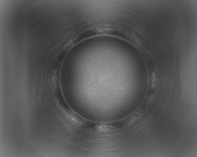 X0000054400372200508011329