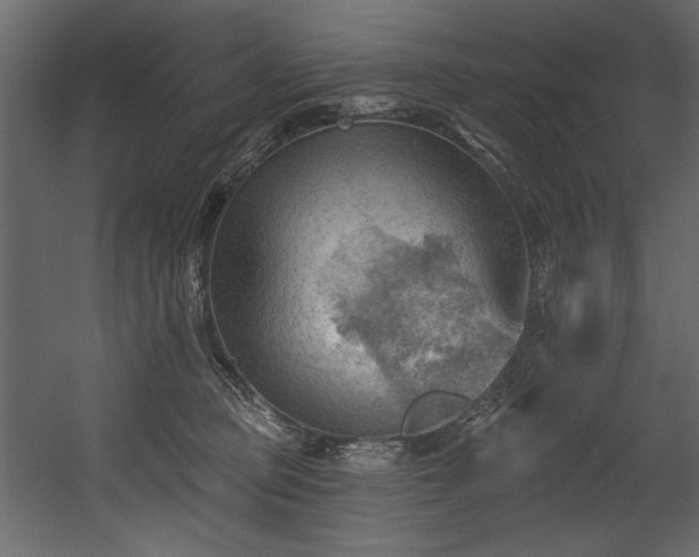 X0000054400373200508011329