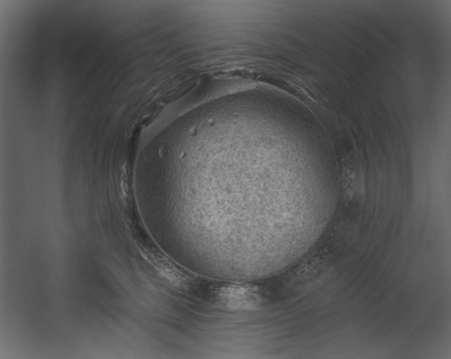 X0000054400375200508011329