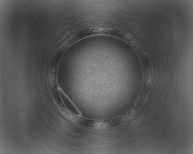 X0000054400376200508011329