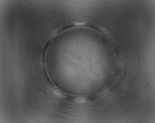 X0000054400377200508011329