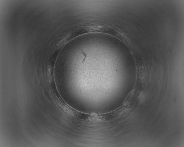 X0000054400378200508011329