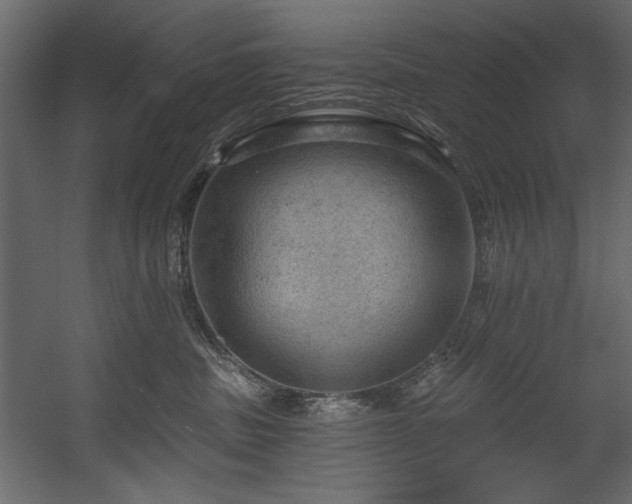 X0000054400379200508011329