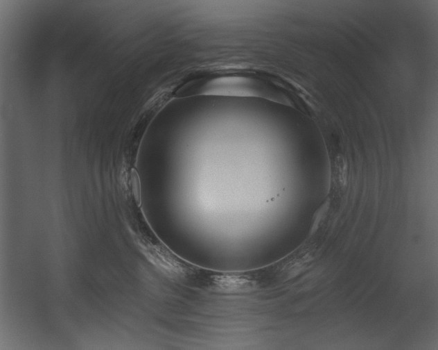 X0000054400380200508011329