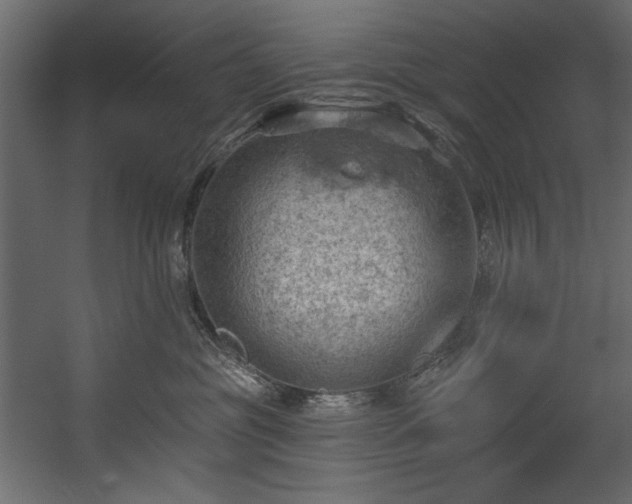 X0000054400381200508011329