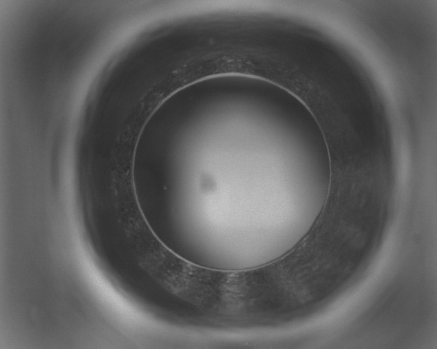 X0000054400382200508011329