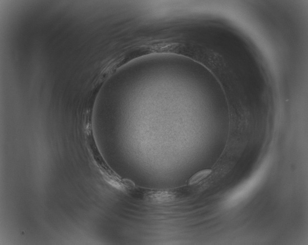 X0000054400383200508011329