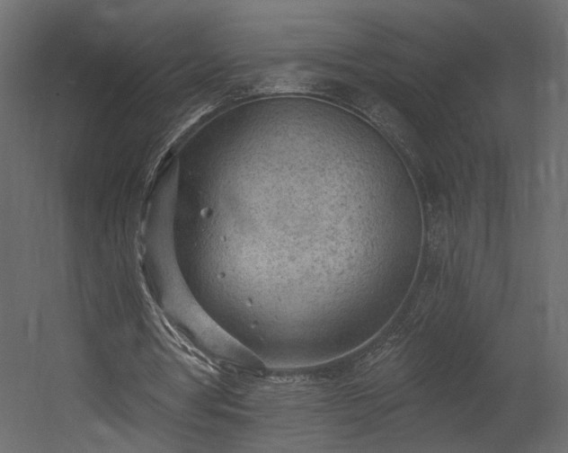 X0000054400386200508011328