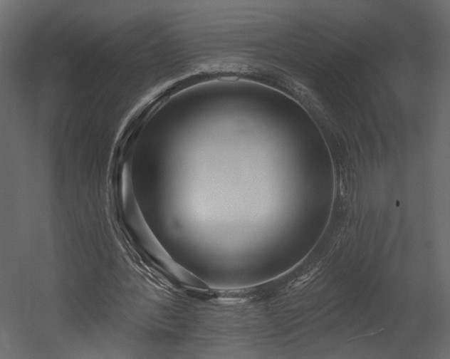 X0000054400388200508011328