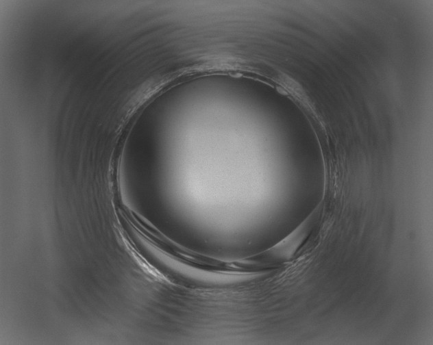 X0000054400389200508011328