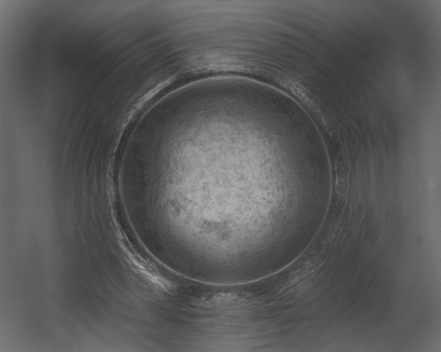 X0000054400390200508011328