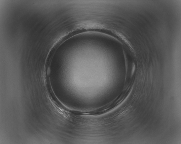 X0000054400391200508011328