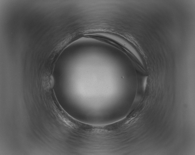 X0000054400393200508011328