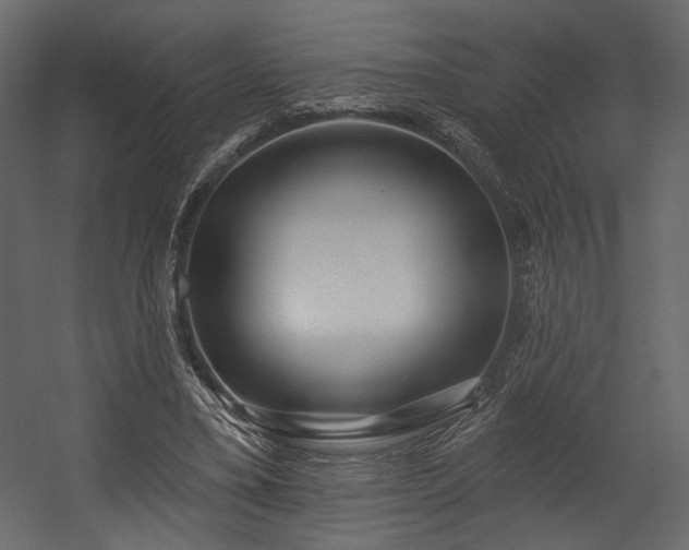 X0000054400395200508011328