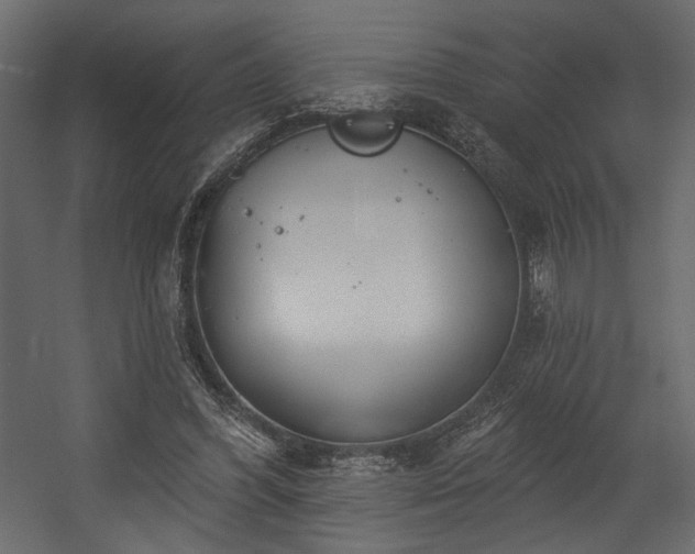 X0000054400396200508011328