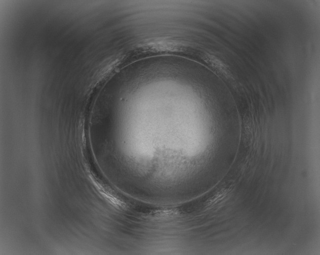 X0000054400398200508011328