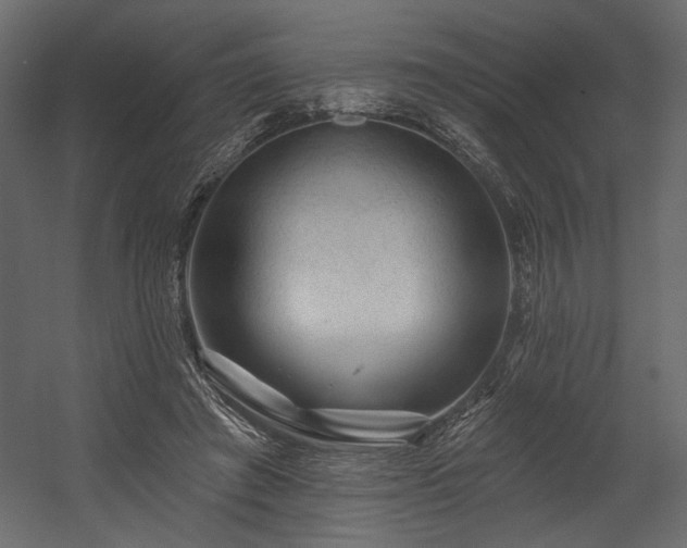 X0000054400401200508011328