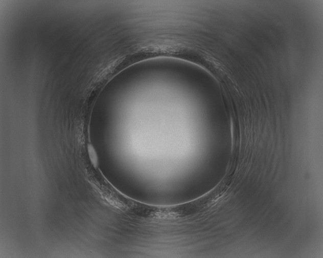 X0000054400403200508011328