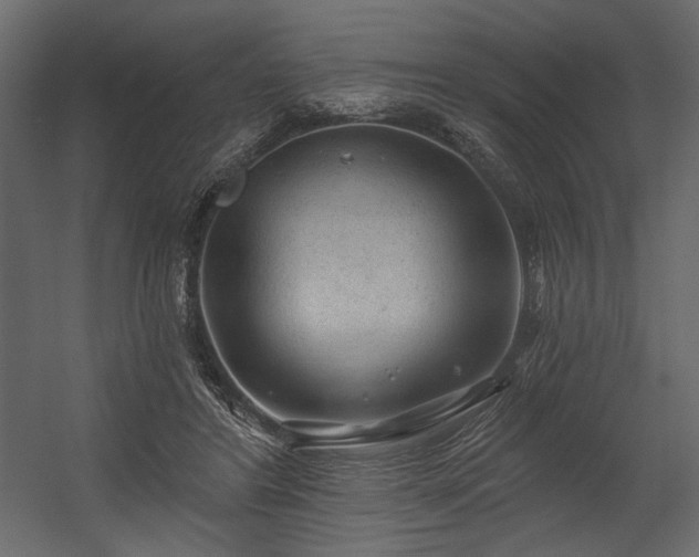 X0000054400404200508011328