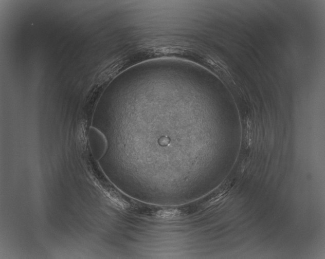 X0000054400410200508011328