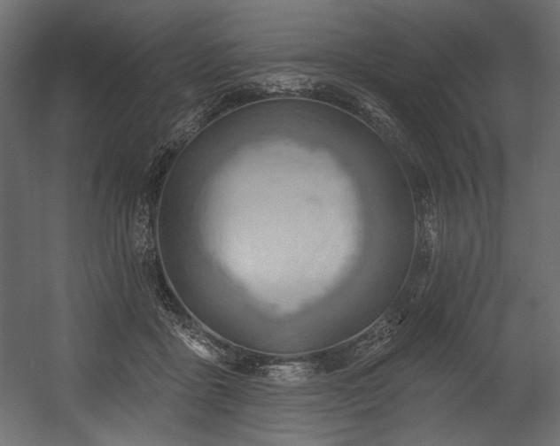 X0000054400411200508011328