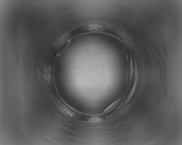 X0000054400413200508011328