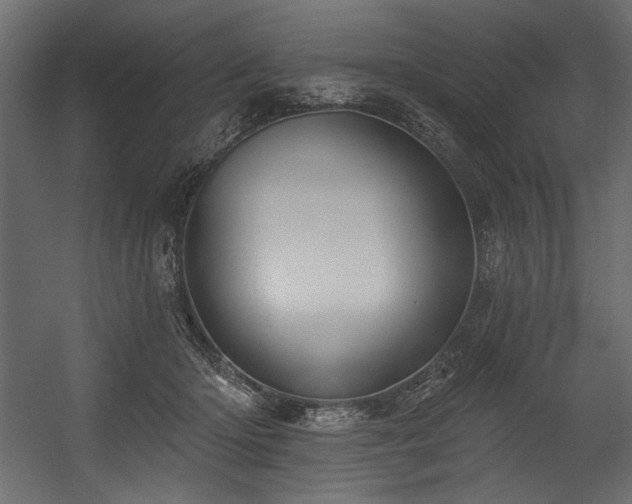 X0000054400414200508011327