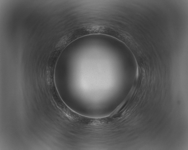 X0000054400416200508011327