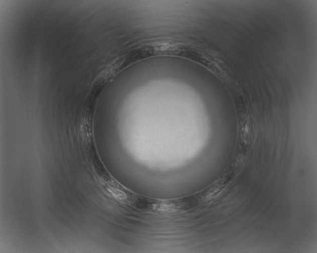 X0000054400419200508011327