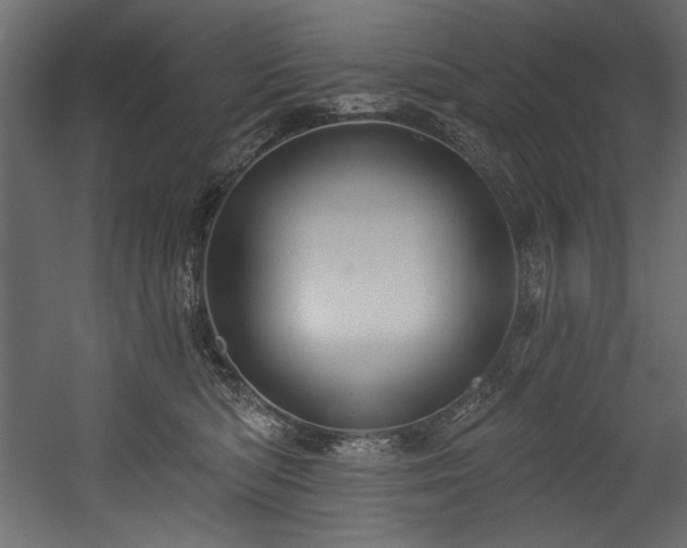 X0000054400422200508011327