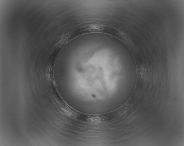 X0000054400423200508011327