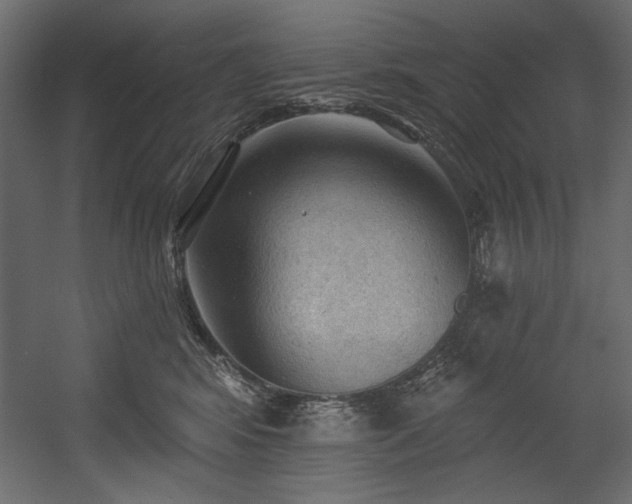 X0000054400424200508011327