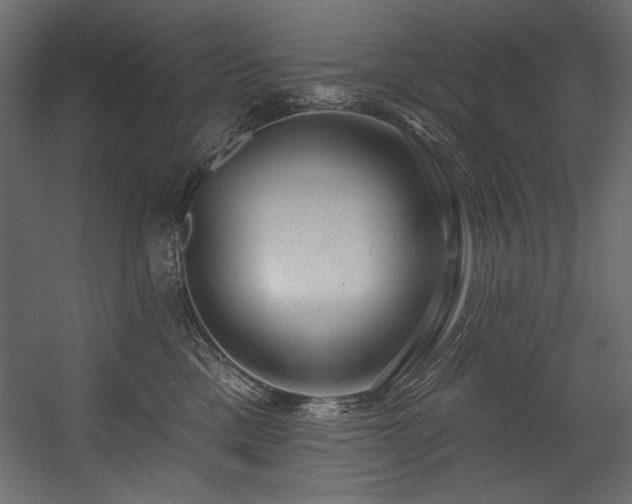 X0000054400425200508011327