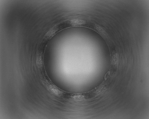 X0000054400426200508011327