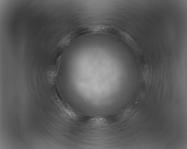 X0000054400427200508011327