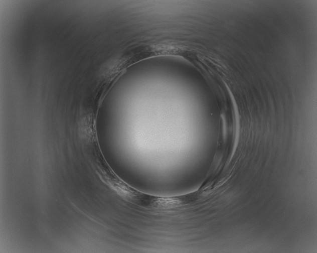 X0000054400429200508011327