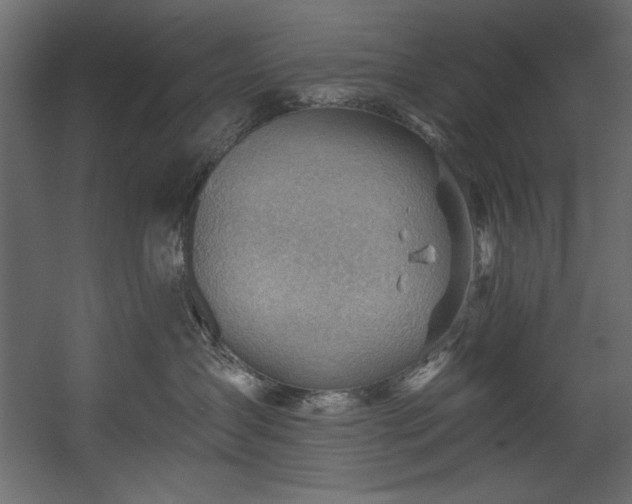 X0000054400431200508011327