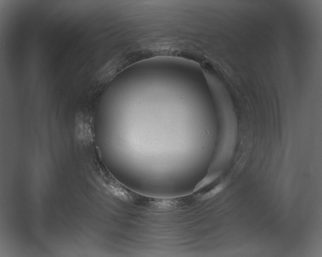 X0000054400432200508011327